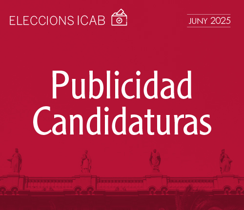 Publicidad Candidaturas